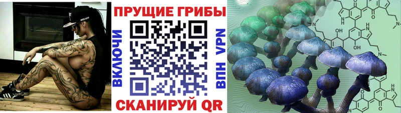 ссылка на мегу зеркало  Кондопога  Псилоцибиновые грибы прущие грибы  купить  сайты 