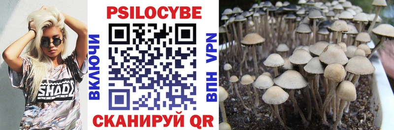 Галлюциногенные грибы MAGIC MUSHROOMS Кондопога