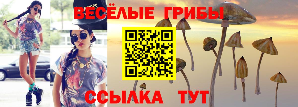Галлюциногенные грибы MAGIC MUSHROOMS Кондопога